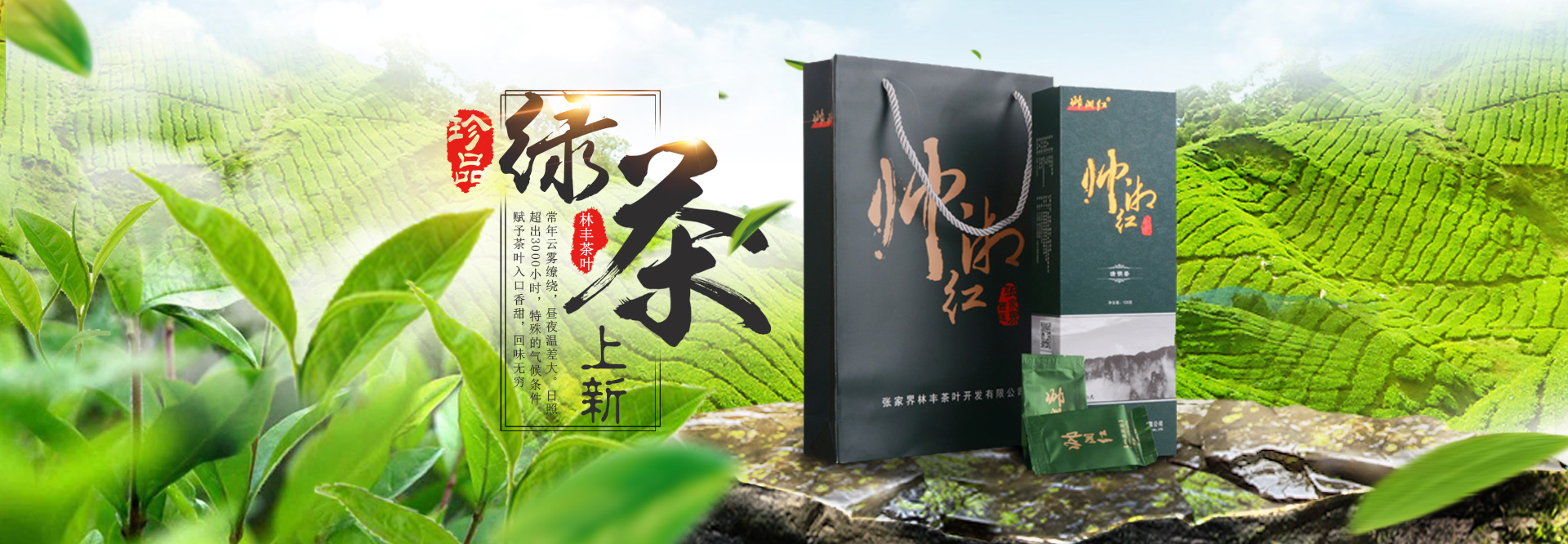 張家界林豐茶葉開(kāi)發(fā)有限公司_張家界茶葉開(kāi)發(fā)|茶葉種植|桑植白茶加工|帥湘紅銷售